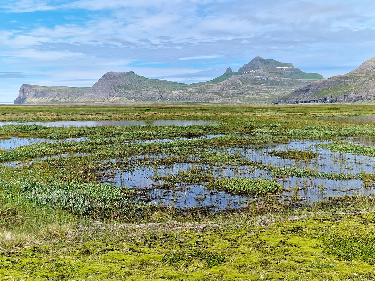 Láglendi Hornvíkur