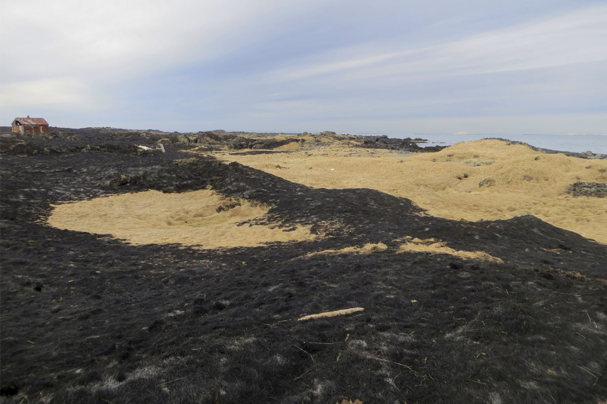 Gróðureldur við Óttarsstaði nærri Straumsvík. Graslendið næst sjónum hefur sloppið nokkuð við brunann. 