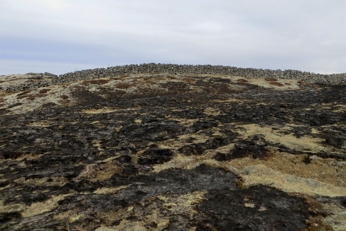 Gróðureldur við Óttarsstaði nærri Straumsvík. Fallegir hlaðnir grjótgarðar eru á svæðinu. Brunnin lynghraunavist í forgrunni þar sem krækilyng, mosar, fléttur og lágvaxin grös eru ráðandi í gróðri.