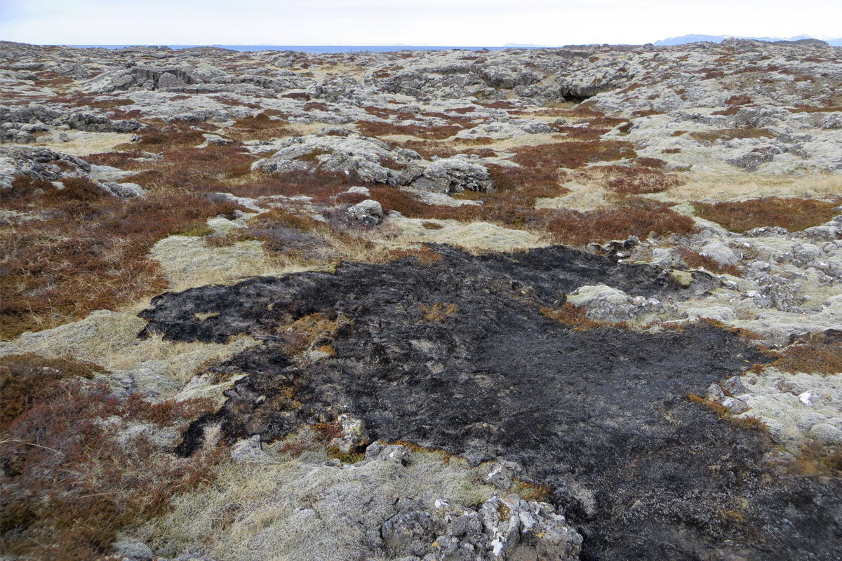 Gróðureldur við Óttarsstaði nærri Straumsvík. Eldtunga hefur teygt sig inn í lynghraunavistina. 