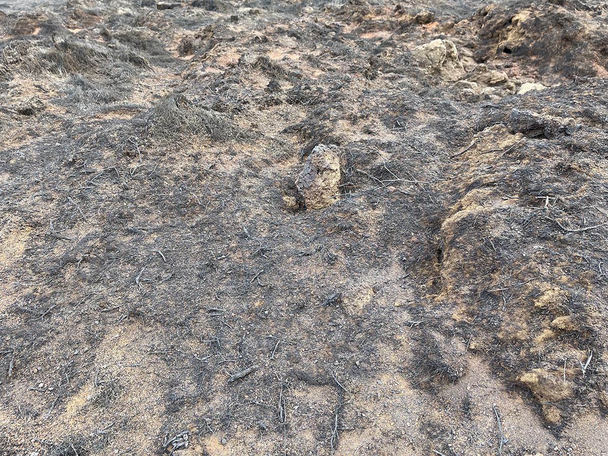 Brunnin mosaþemba á gosstöðvunum við Litla-Hrút, 14. júlí 2023.