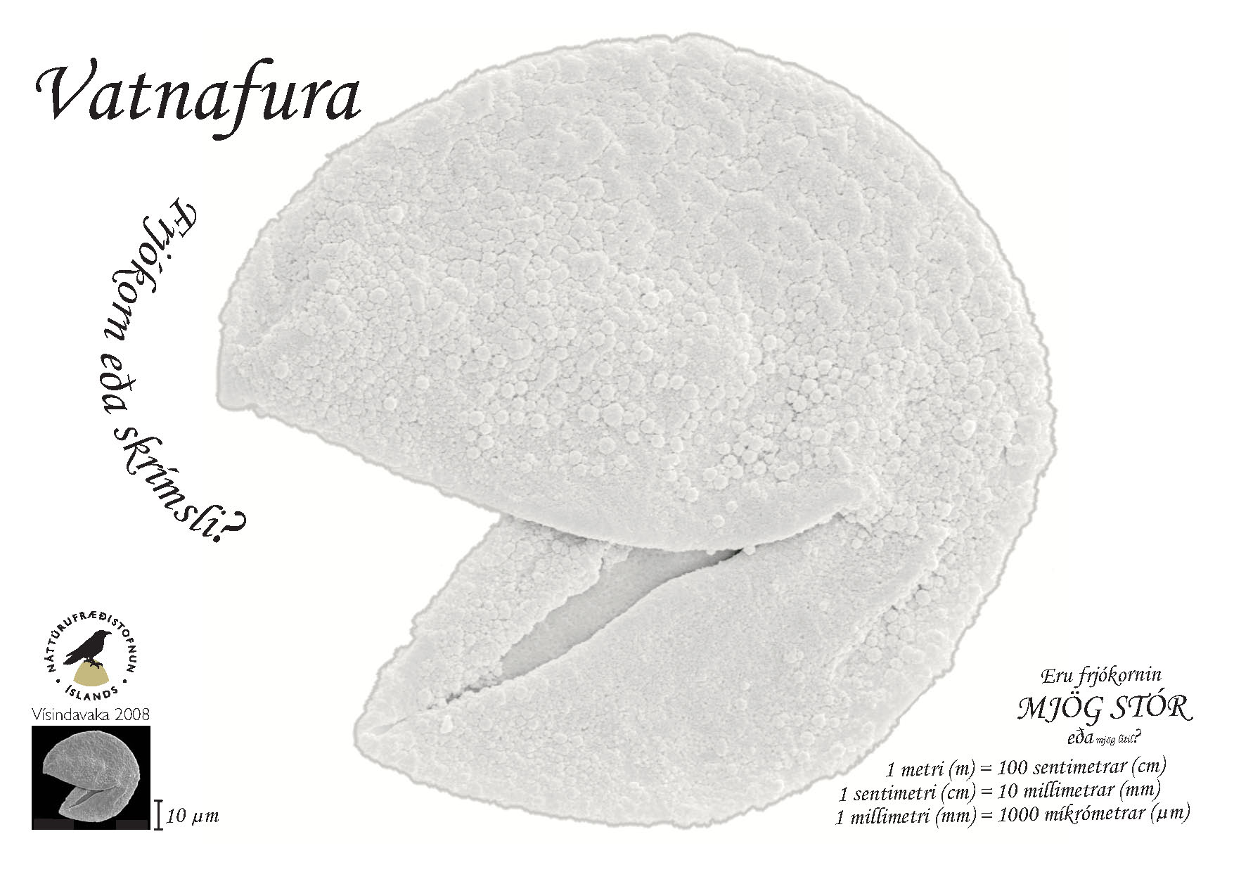 Litablað, frjókorn, vatnafura