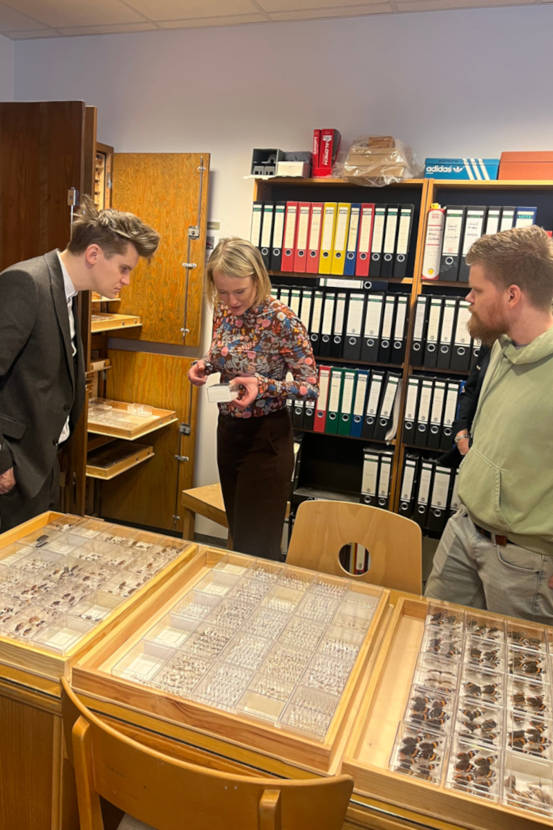 Matthías S. Alfreðsson sýnir Jóhanni Páli Jóhannssyni og Sunnu Björk Ragnarsdóttur skordýrasafn stofnunarinnar