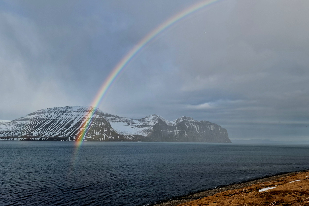 Regnbogi yfir Hælavíkurbjargi myndaðist þegar rigndi seinnipartinn í Hornvík.