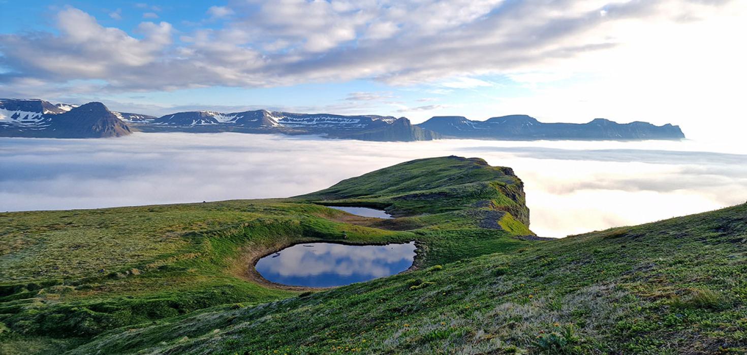 Horft ofan af Hælavíkurbjargi og niður í víkina.