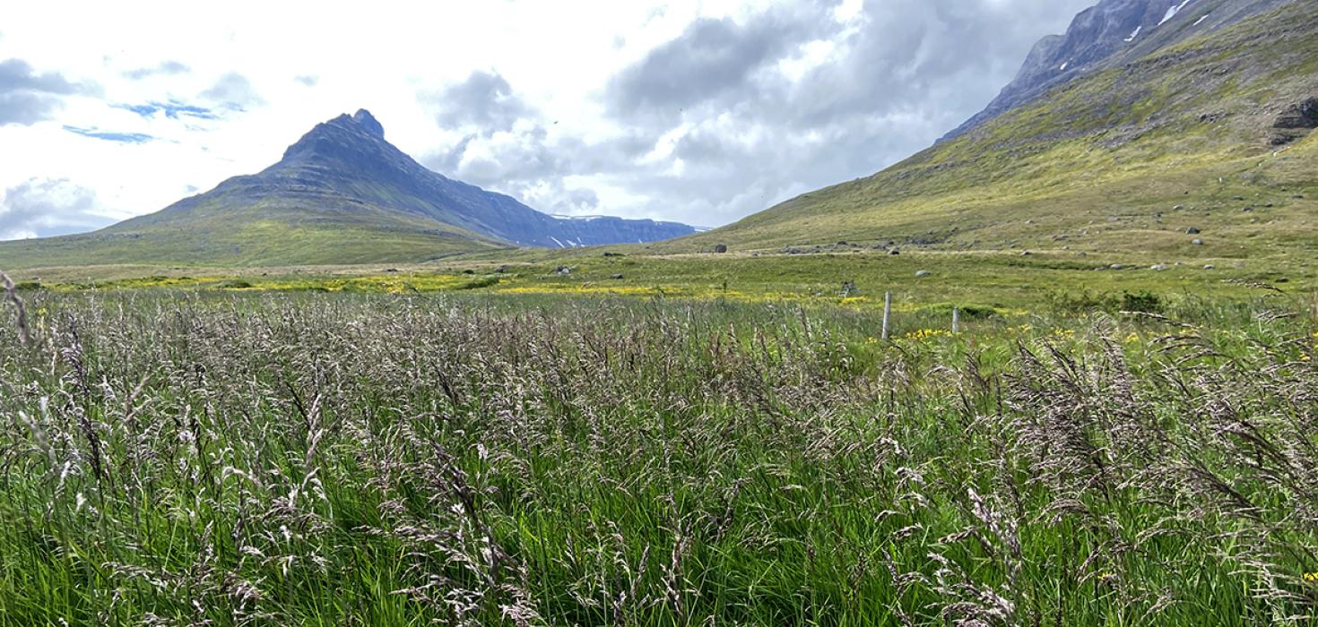 Grösug brekka í Súðavík