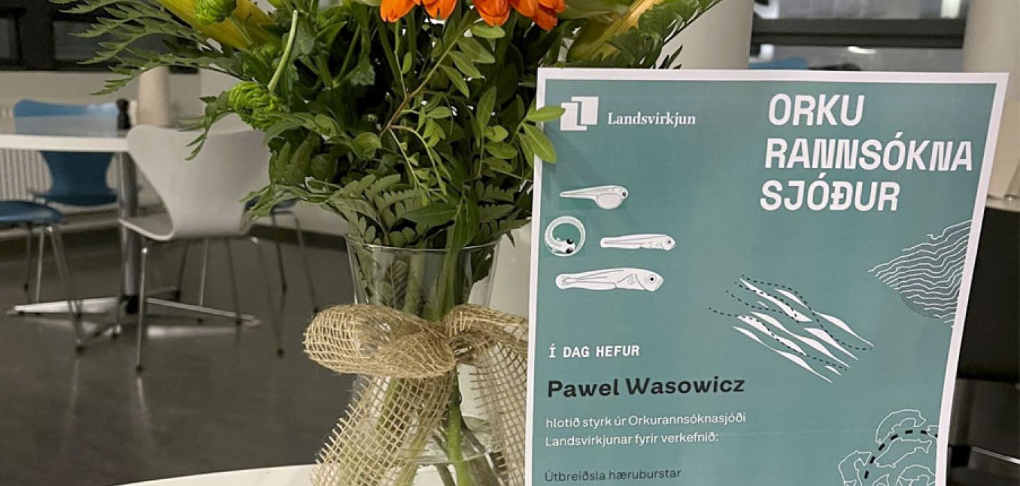 Skjal sem staðfestir styrk Orkurannsóknarsjóðs Landsvirkjunar til Náttúrufræðistofnunar Íslands og Pawels Wasowicz, til rannsóknar á útbreiðslu hæruburstar