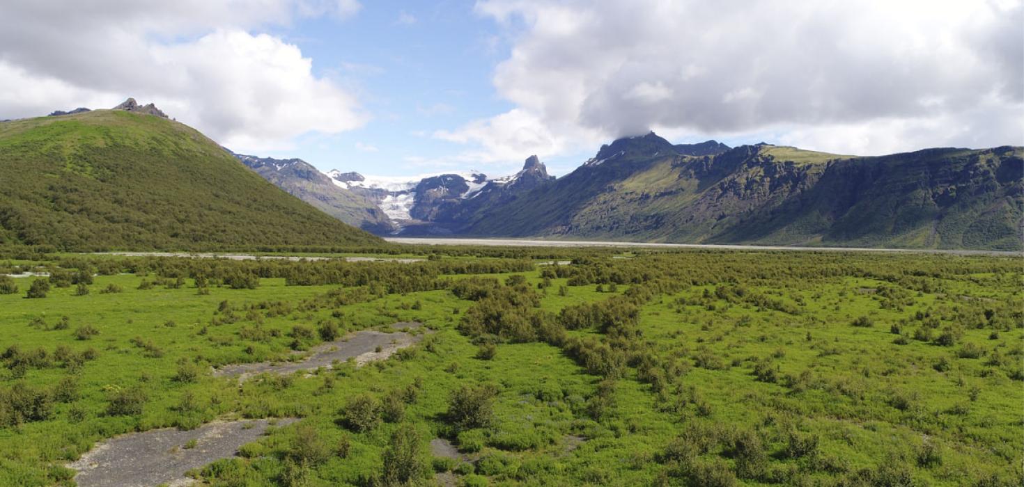 Frá Morsárdal í landi Skaftafells, Bæjarstaðarskógur á vinstri hönd. Birki og alaskalúpína breiðist um aura.