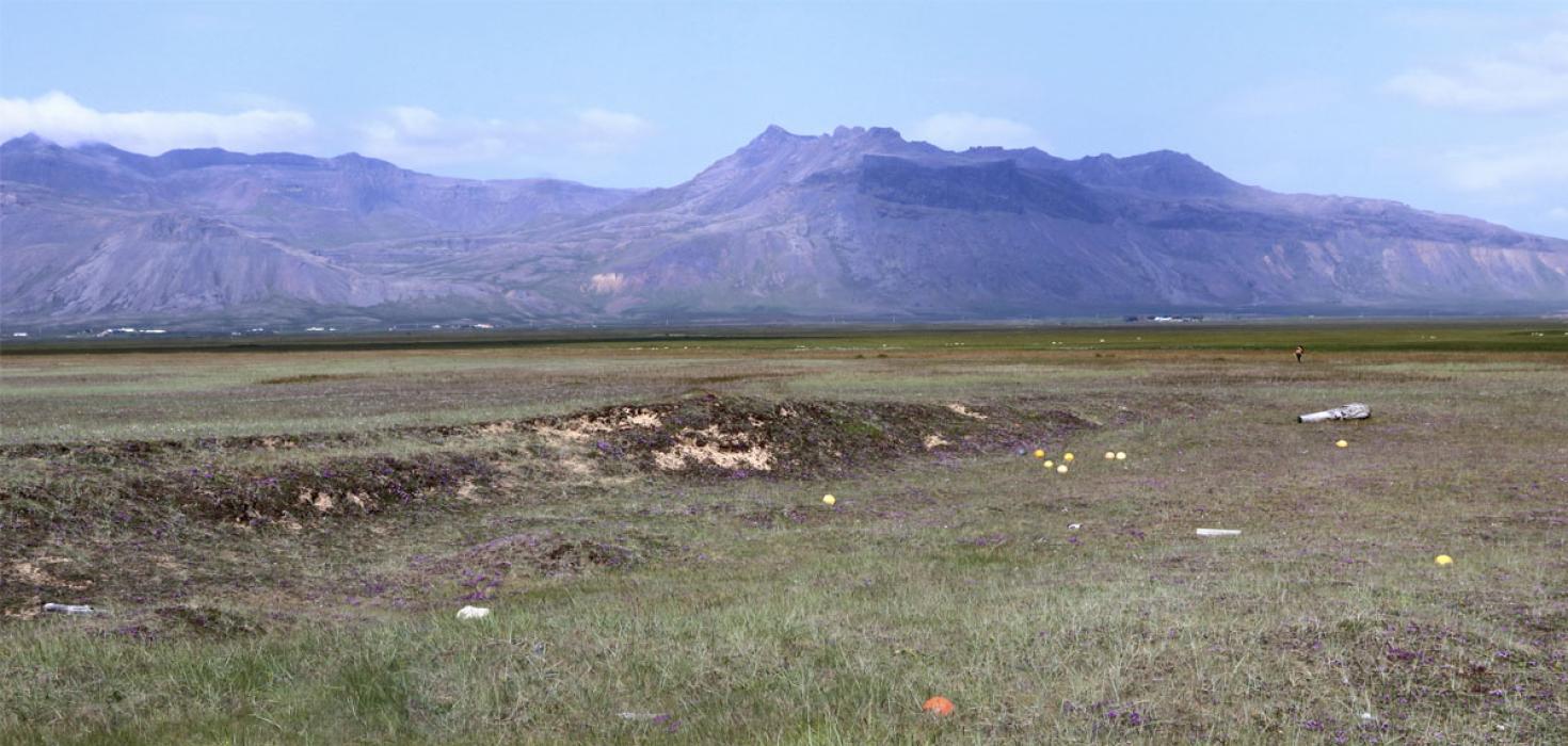 Skeljasandsengi við Vatnsflóa á Snæfellsnesi. Það glittir í ljóslitan skeljasand í hlíðum fornra sandhóla og reki liggur víð og dreif um landið sem er grasleitt, snöggt og allríkt af blómjurtum