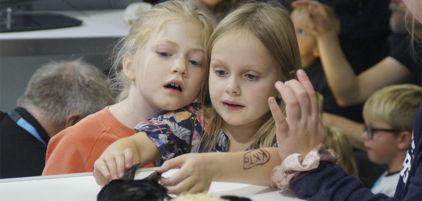 Sýningarbás Náttúrufræðistofnunar Íslands á Vísindavöku Rannís 2019