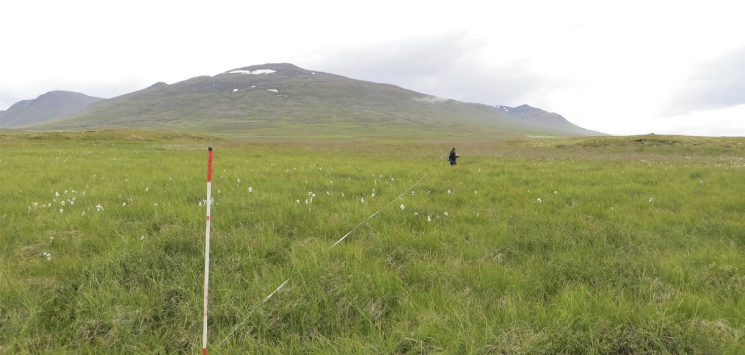 Mælireitur í grösugum haga í góðu ástandi í Skagafirði