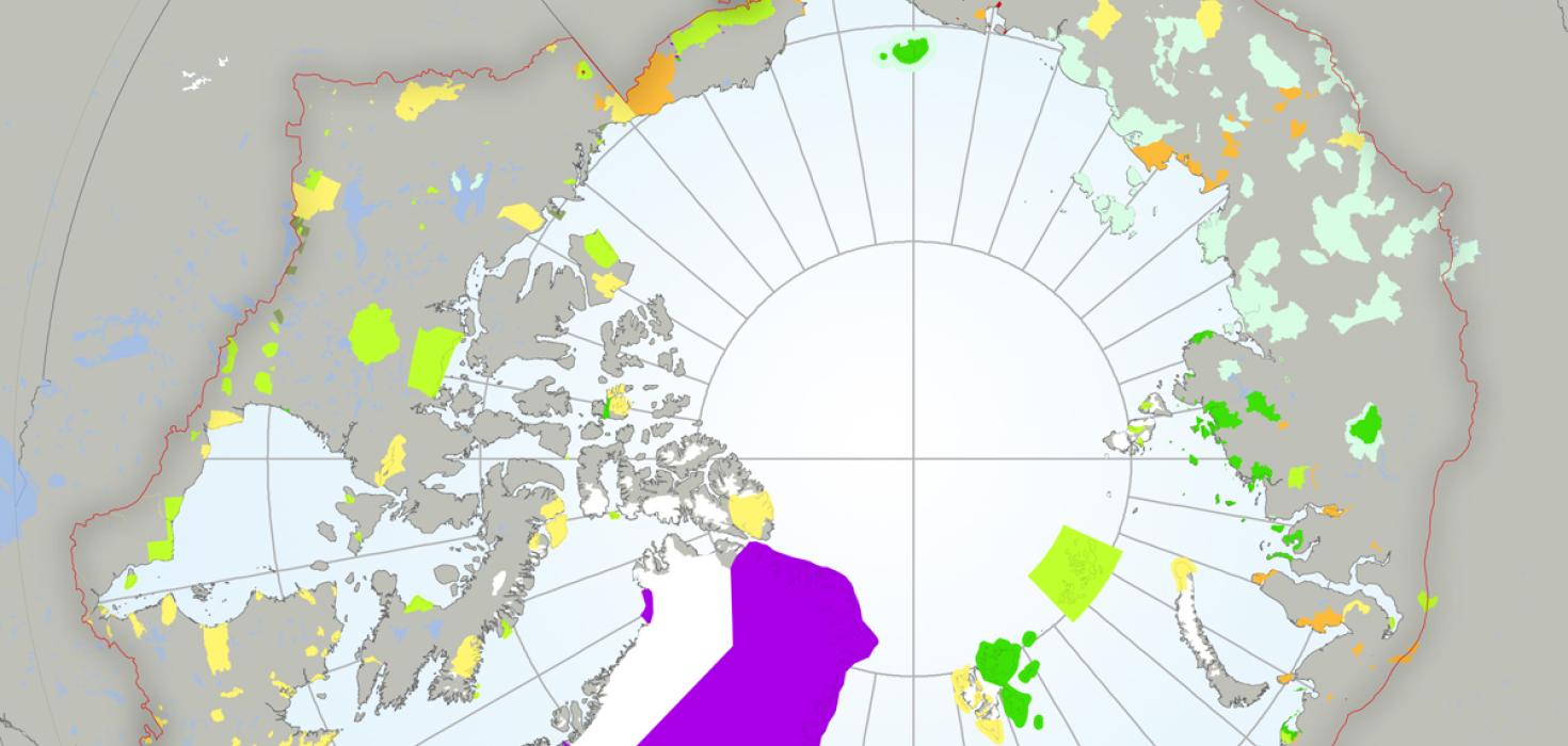 Vernduð svæði á norðurslóðum eftir flokkun Alþjóðlegu náttúruverndarsamtakanna