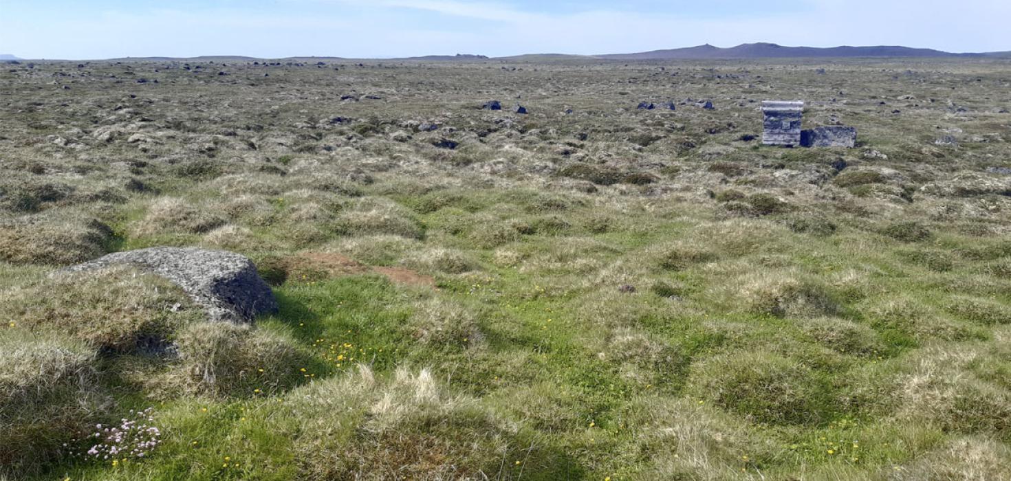 Fæðuleifar á refagrenjum rannsakaðar á Melrakkasléttu