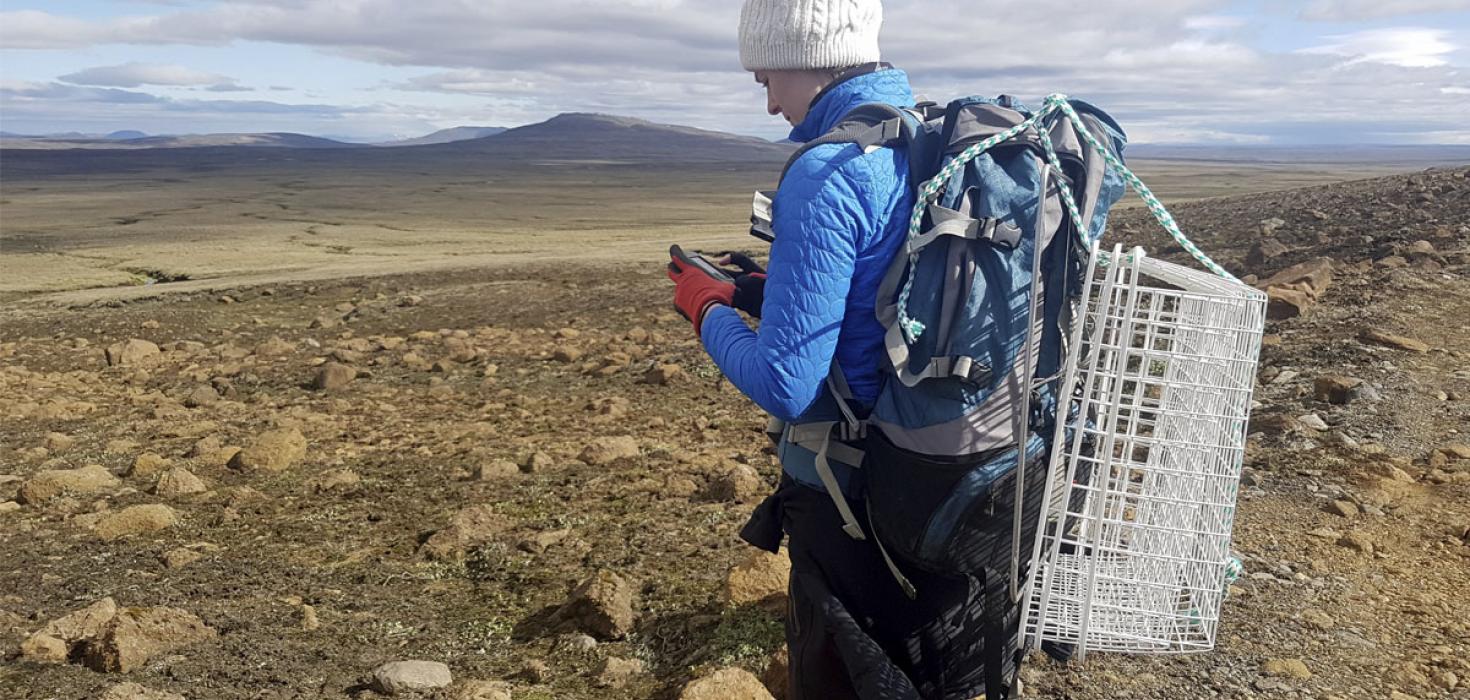 Búnaði til beitarrannsókna komið fyrir á Fljótsdalsheiði 2019