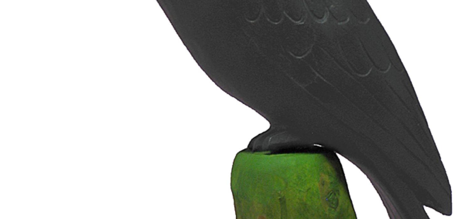 Hrafn - Ranka í Kotinu