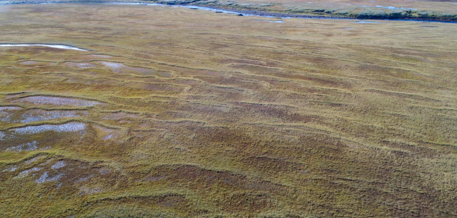 Séð til norðausturs yfir neðsta hluta Lauffellsmýra, Hellisá og Skaftáreldahraun að baki