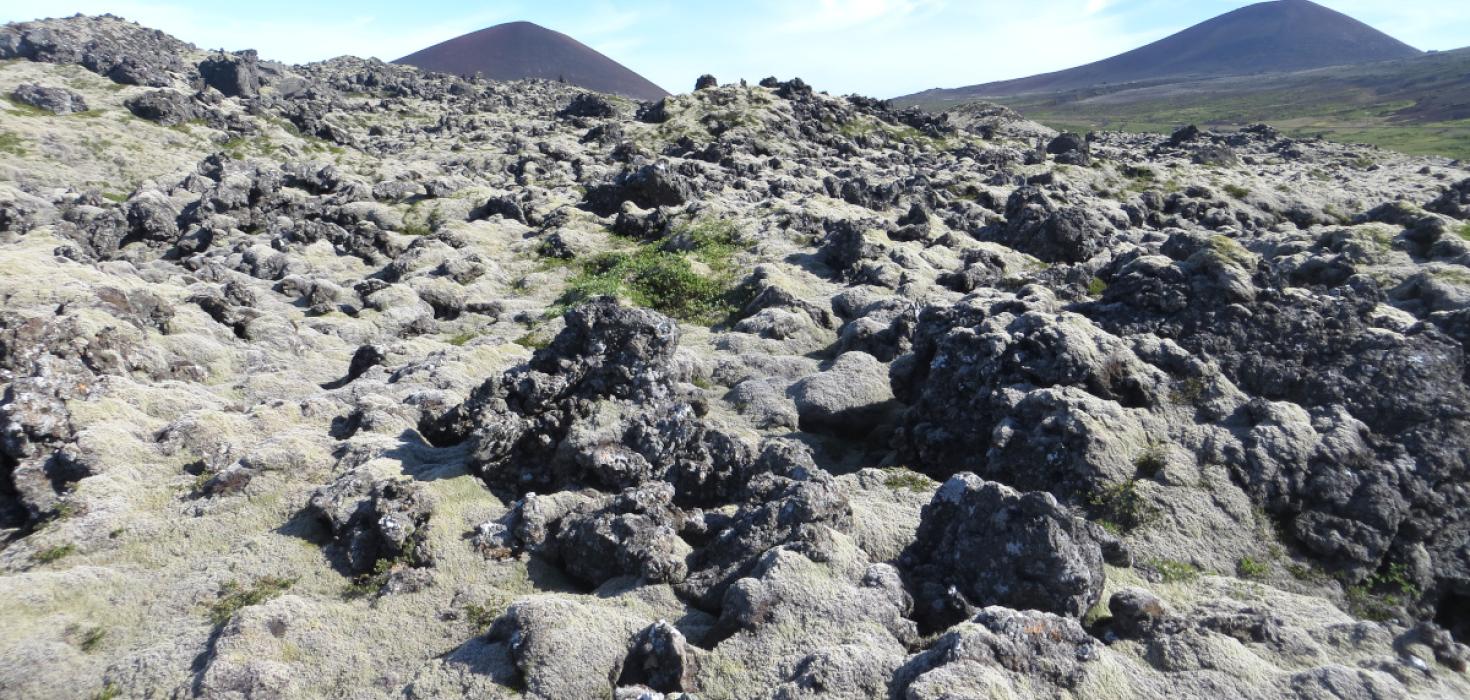 Mosahraunavist á Snæfellsnesi