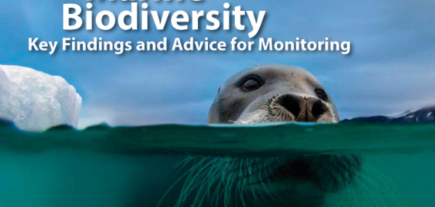 Forsíða State of the Arctic Marine Biodiversity