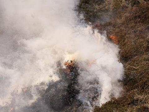 Gróður brennur á gossvæðinu við Fagradalsfjall.