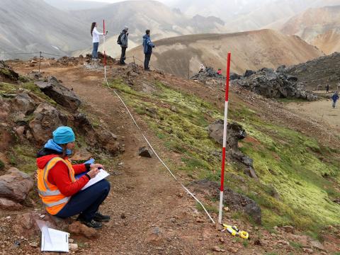 Frá rannsóknum í Brennisteinsöldu innan Friðlands að Fjallabaki