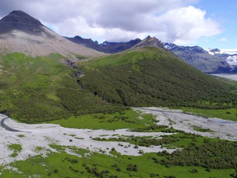 Bæjarstaðaskógur 2018