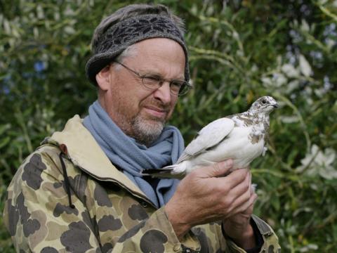 Ólafur Karl Nielsen með merkta rjúpu