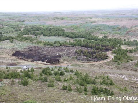 Yfirlitsmynd af svæði sem brann í Heiðmörk 6.6.2012