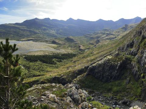 Stafafura í Steinadal, Suðursveit