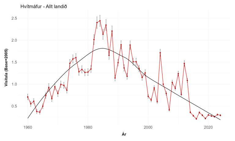 Vísitala hvítmáfs í vetrarfuglatalningum