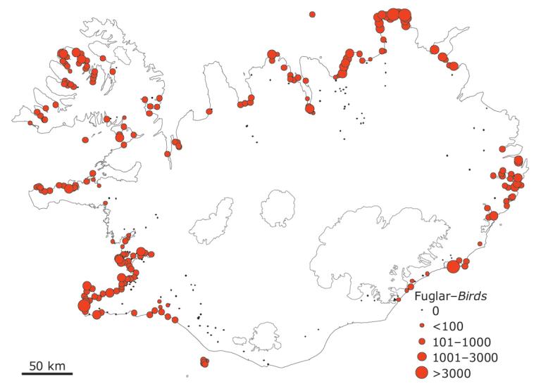 Meðaltal æðarfugla á 10 km strandlengju í vetrarfuglatalningum 1952−2014
