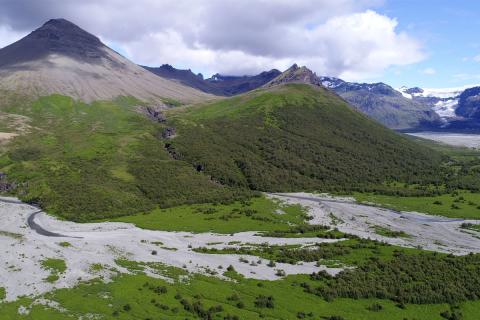 Bæjarstaðaskógur 2018