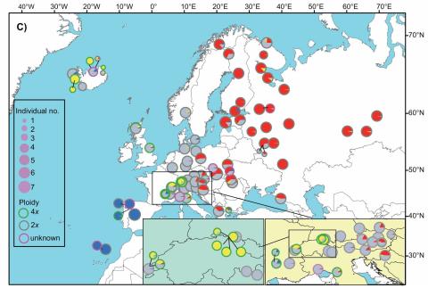 Sýnatökustaðir Deschampsia-sýna sem rannsökuð voru. 