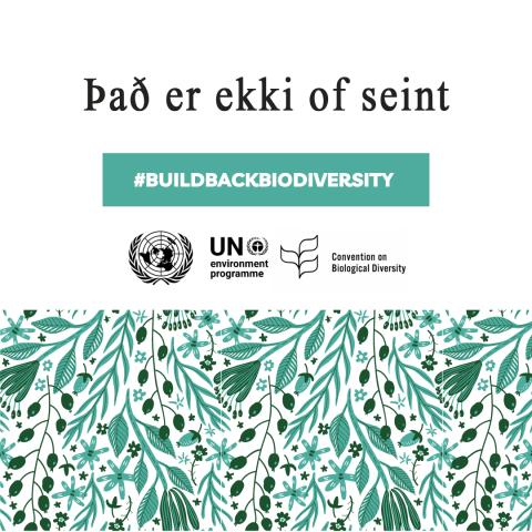 Alþjóðlegur dagur líffræðilegrar fjölbreytni 2023