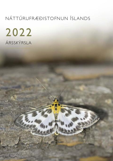 Forsíða ársskýrslu Náttúrufræðistofnunar Íslands 2022. Myndin sýnir skjólslæðu, Anania hortulata, erlendan slæðing sem fannst í Kópavogi.