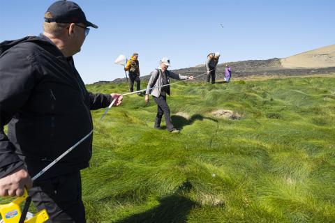 Leiðangursfólk samankomið í hreiðurtalningar við gróðurmælireiti.