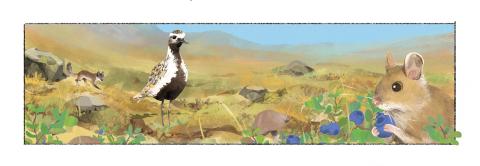 Fræðslumyndasaga um líffræðilega fjölbreytni