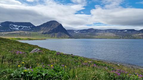 Hornstrandir í þurru veðri 2024
