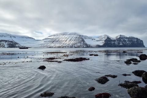 Hælavíkurbjarg séð úr fjörunni í Hornvík. Til vinstri á myndinni sést Sif, bátur Borea Adventures, sem flutti hópinn frá Ísafirði.