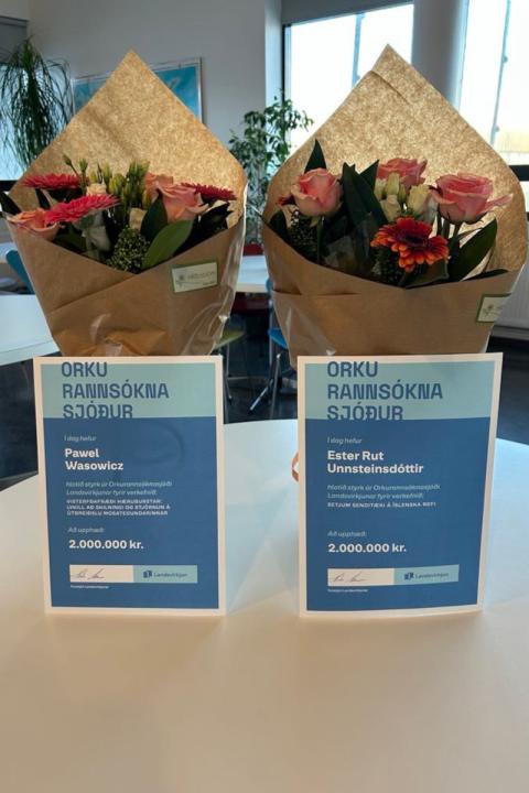 Styrkir úr Orkurannsóknasjóði Landsvirkjunar.