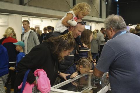 Sýningarbás Náttúrufræðistofnunar Íslands á Vísindavöku Rannís 2019