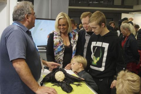 Sýningarbás Náttúrufræðistofnunar Íslands á Vísindavöku Rannís 2019