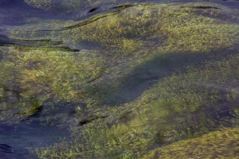 Ár á yngri berggrunni