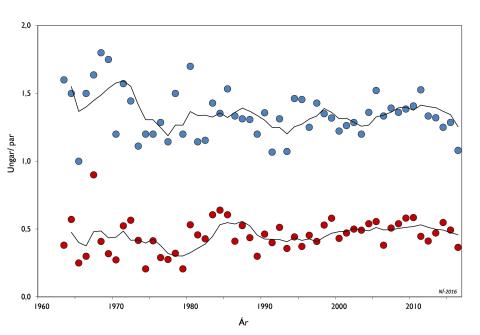 Arnarstofninn, viðkoma