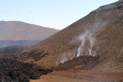 Gróðureldar sem kviknuðu að líkindum út frá hraunjaðri í Geldingadölum