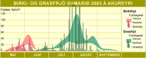 Birki- og grasfrjó sumarið 2003 á Akureyri
