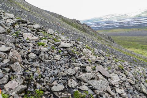 Grasvíðiskriðuvist