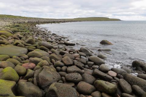 Brimasamar hnullungafjörur