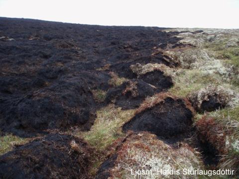 Sinubruni að Fossi í Hrútafirði maí 2014