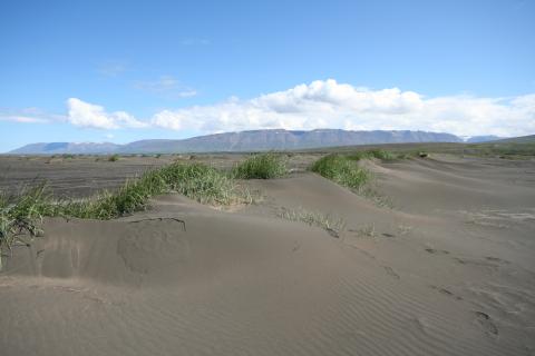 Landgræðsluskólinn - sandöldur