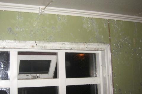 Panelklæddur veggur í gömlu húsi sem varð fyrir heitavatnstjóni